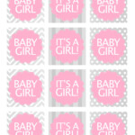 Baby Girl Shower Free Printables How To Nest For Less
