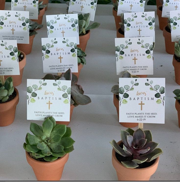 Faith Plants The Seed Love Makes It Grow Favor Tag Baptism Succulent 
