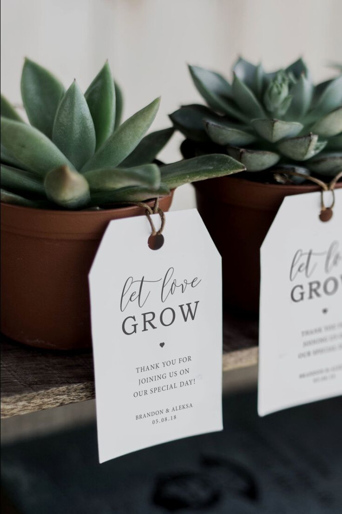 No Cost Printable Baptism Favor Tags Design Template Succulent 