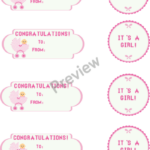 Printable Gift Tags For A Baby Girl Baby Shower Or Birthday