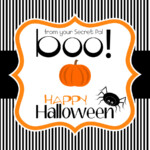 Halloween Tag Secret Pal Jessica Flickr