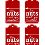 I m Nuts About You Free Printable Valentine Valentines Printables