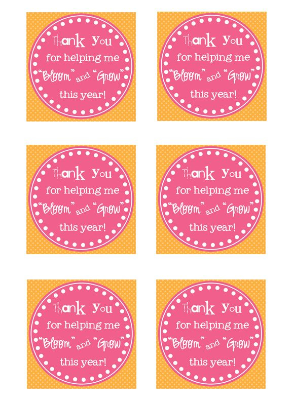 Flower Pen Planter And Printable Tag Teachers Appreciation Week Gifts