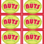 Neighbor Gift Idea Sugared Nuts Christmas Traditions Family Diy