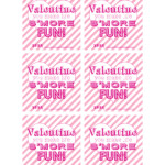 Valentine s Day S mores