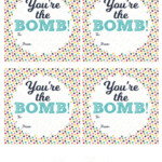 You re The Bomb Bath Bomb Gift Idea Free Printable Tag Mama Cheaps